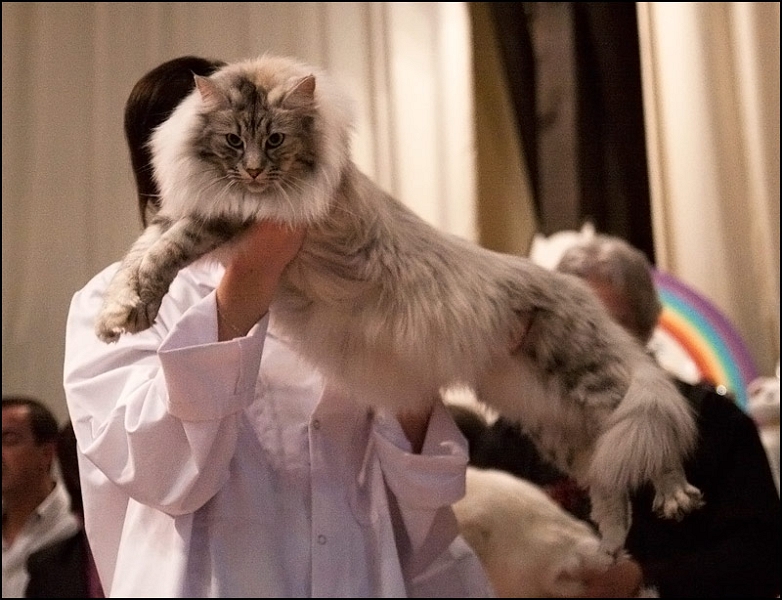 Inconnu 19.jpg - Inconnu